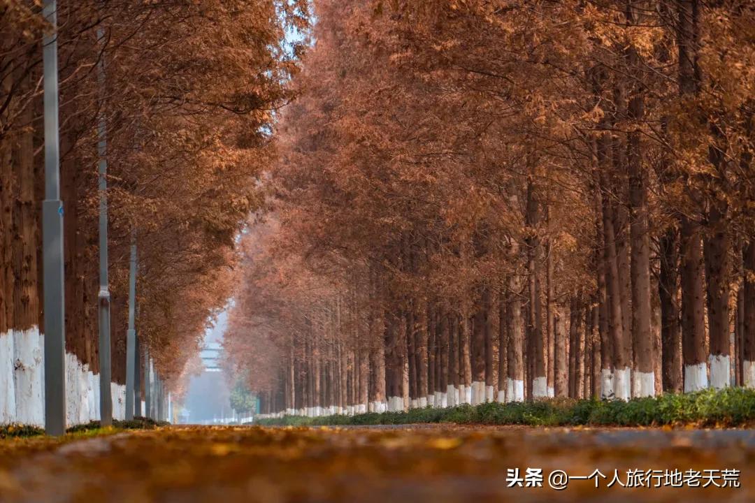 江苏这个“快乐”的城市，颜值不输苏杭，连苏东坡都在这养老
