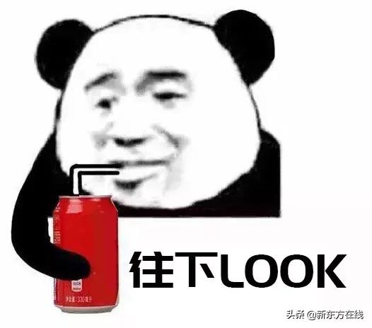 四级和六级哪个难考,英语四级跟六级难度区分大吗