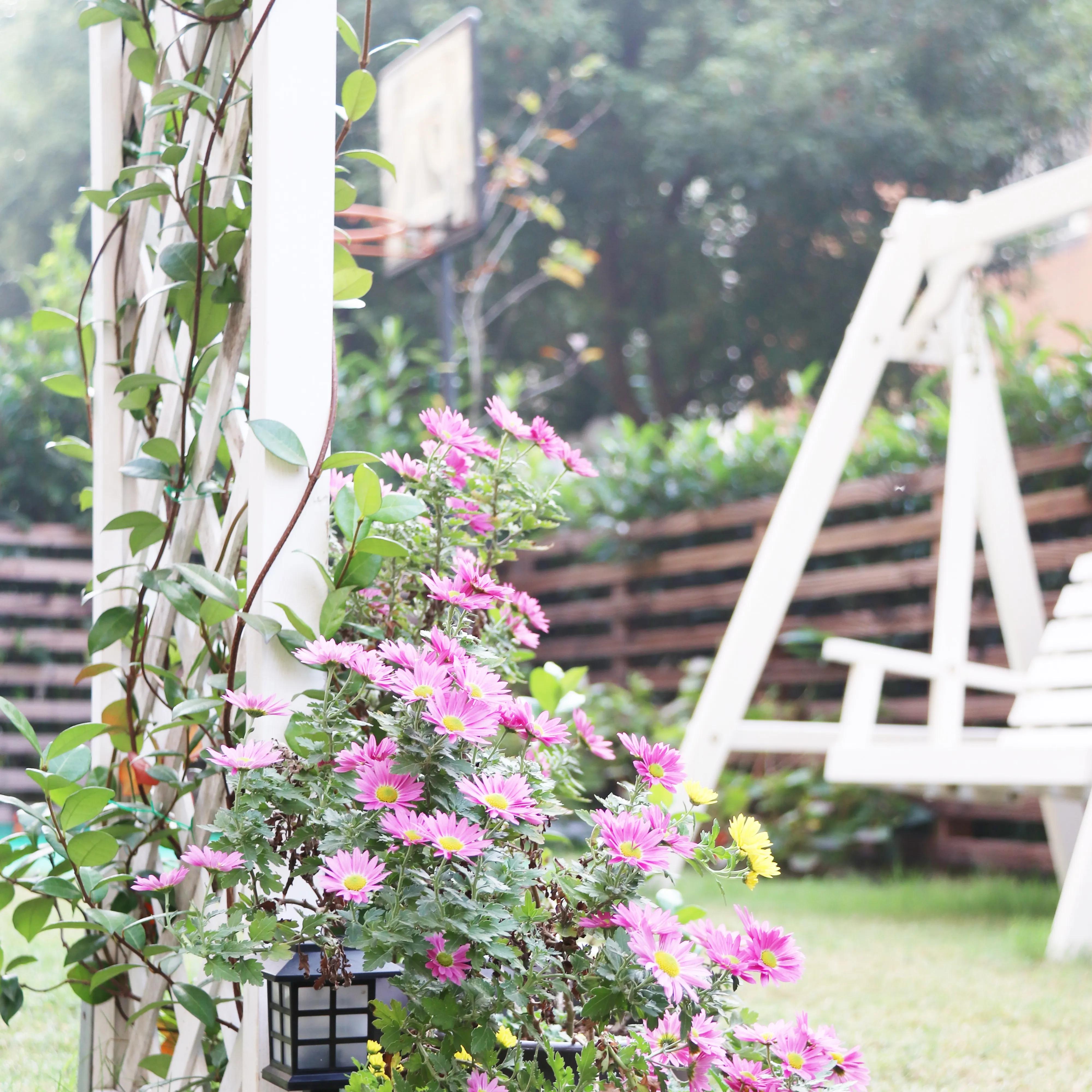 造园记养花人的必经之路,养花的院子怎么建造