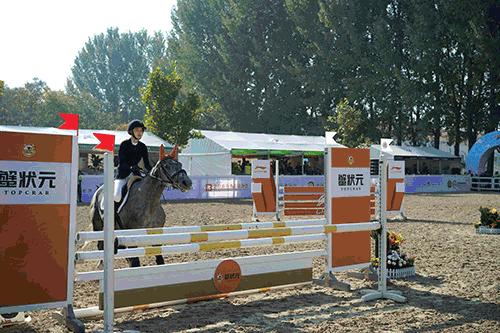 适马sigmafp微单评测,适马fp和索尼微单哪个好