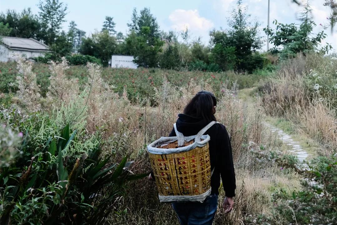 在大理生活的外省人,生活在别处的人