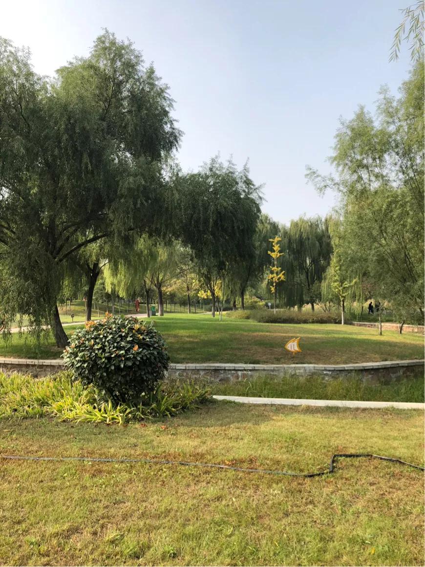 郑州市莲花公园,郑州池南路莲花公园