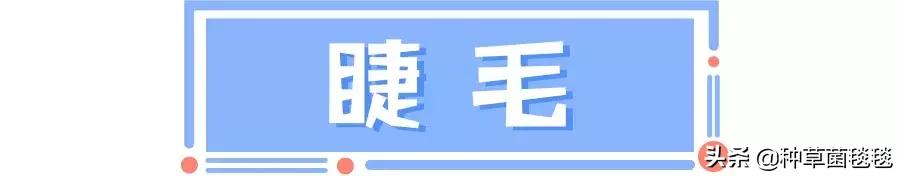 三招教你秒变大眼睛技巧,三招教你眼睛又大又美
