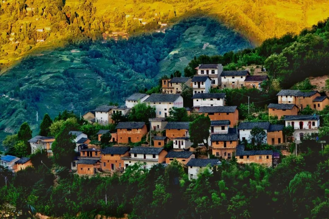 秘境蜘蛛恐惧症任务,破碎之地秘境剧毒蜘蛛怎么打