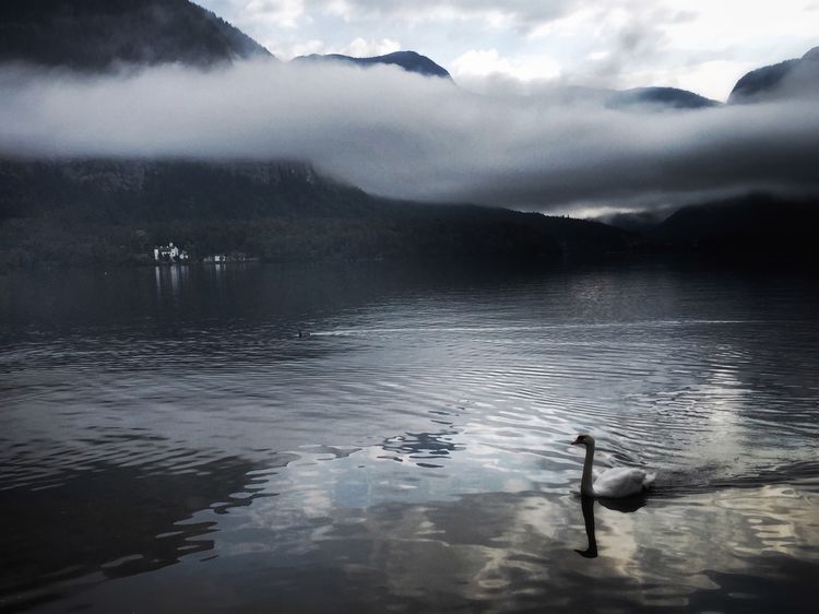奥地利最美小镇雪景,世界最美湖畔小镇