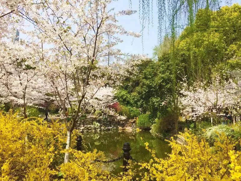 上海春游踏青好去处,上海春季踏青旅游攻略