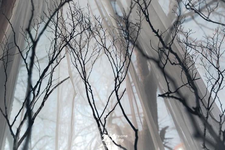 干净通透的婚礼照片,法式婚礼主题推荐简约