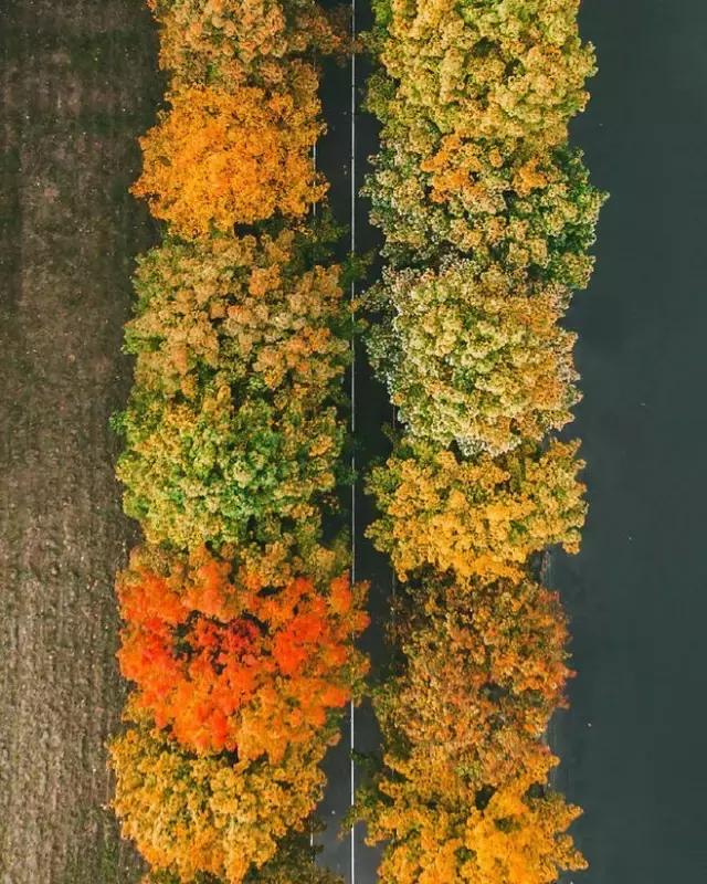 秋天落叶一拍都是一幅画,秋天的景色美得好像一幅画