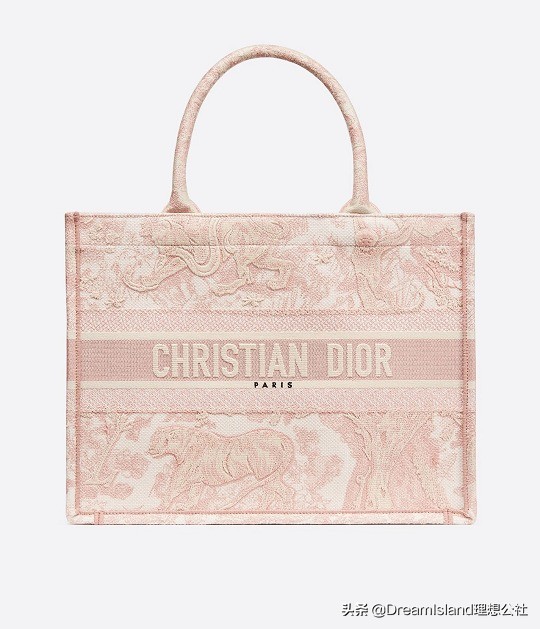 dior新款刺绣帆布托特包,刺绣马鞍包dior2019