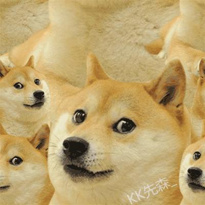 带上这份外挂,小雪带你玩转厦门轻松扫雷