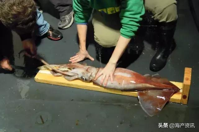 硬核科普全部,硬核科普大全视频