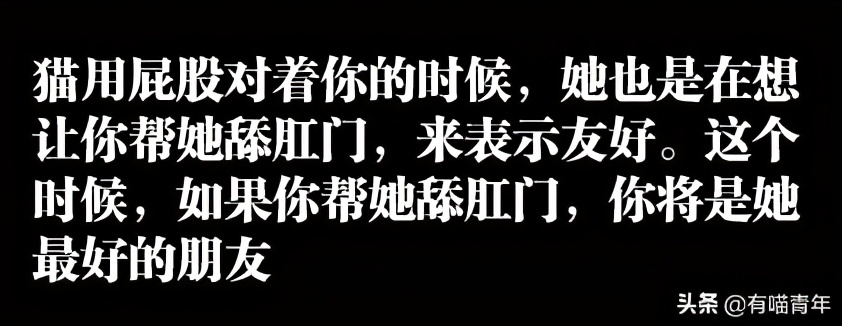 对着猫吹气会怎么样,对着猫吹烟有害吗