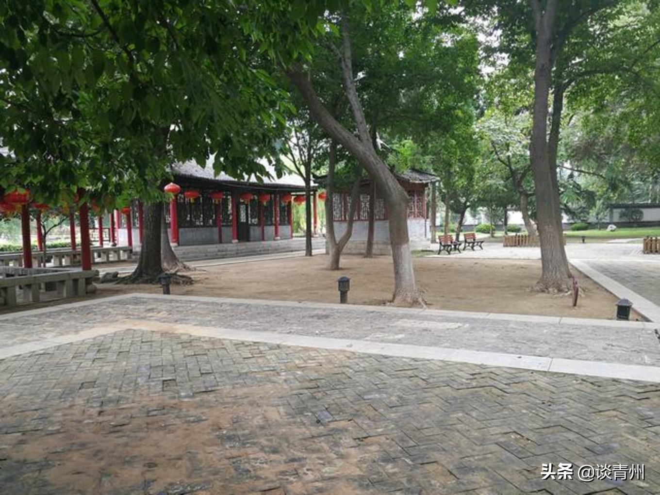 青州古城一日游视频,青州古城夜晚一日游