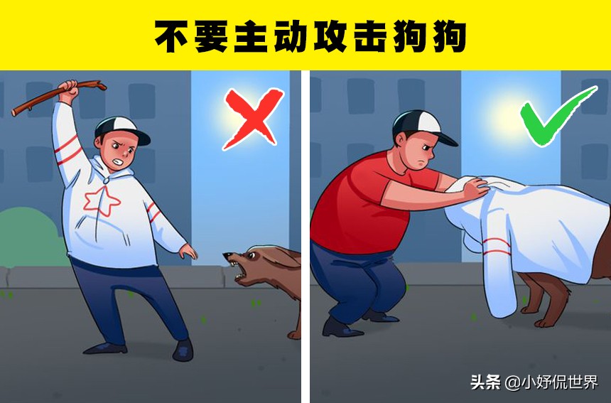 怎么让狗狗对你放下戒备心理,如果狗狗对你有攻击性该怎么办