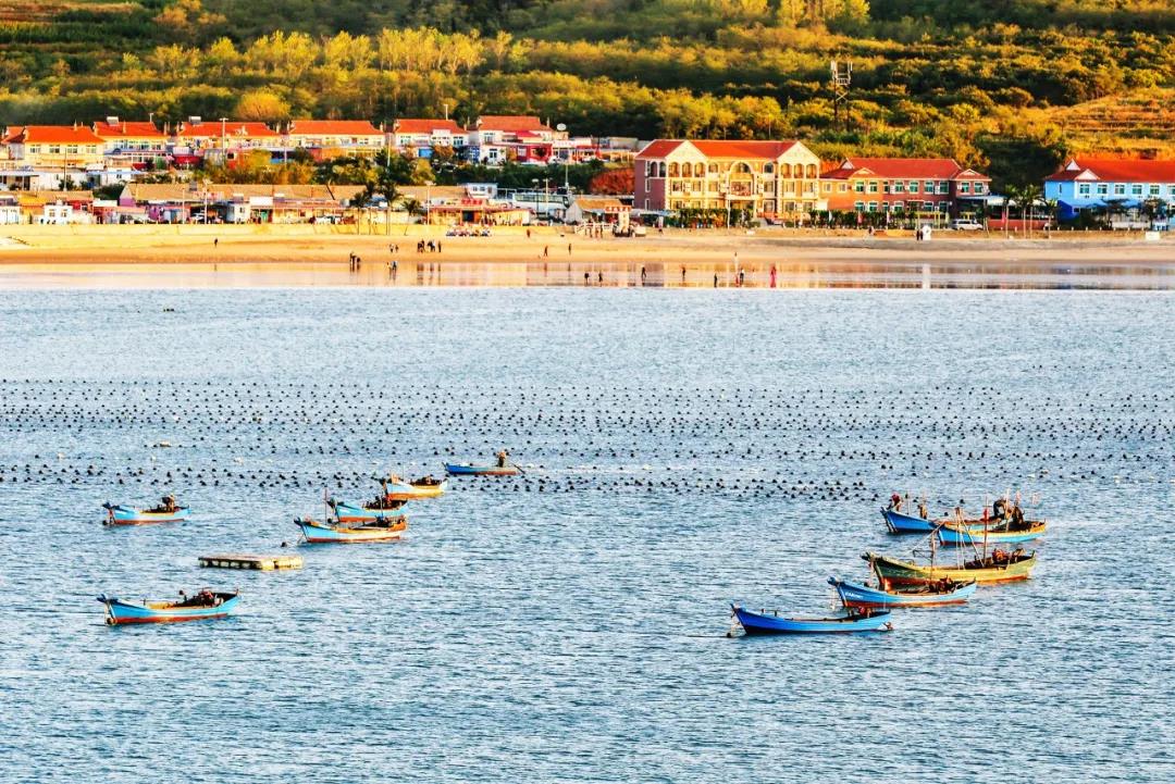 三亚和厦门哪个更值得去玩,三亚和厦门哪个更值得去游玩