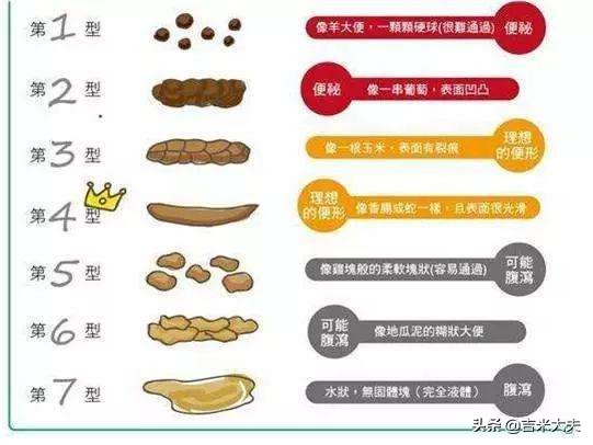 考试肚子疼拉肚子怎么解决,一考试就拉肚子吃什么药