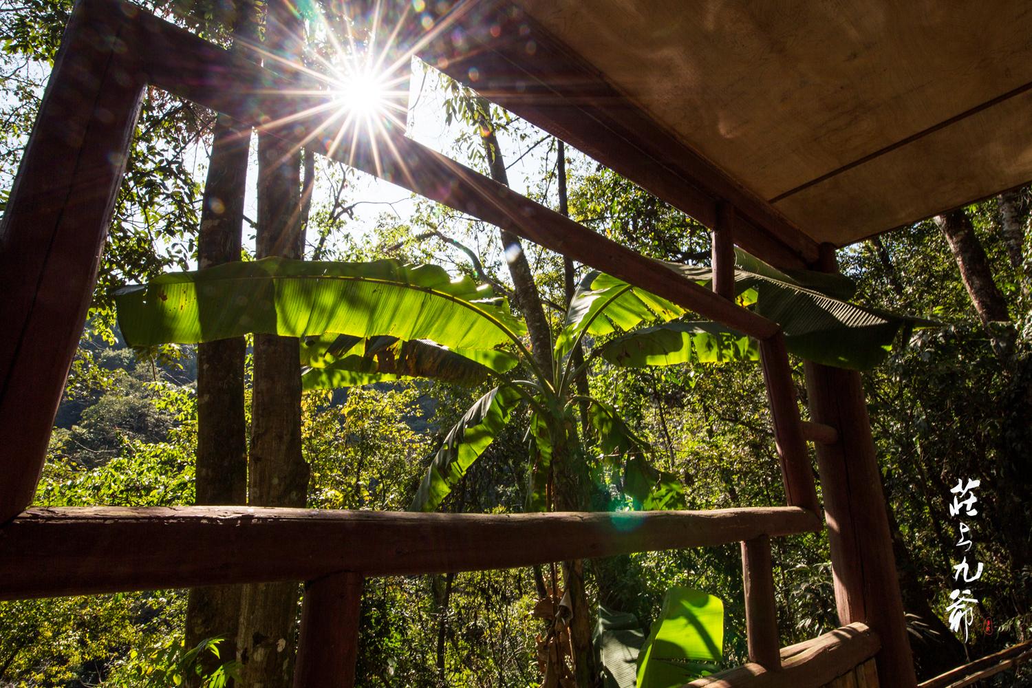 高黎贡山秘境森林,高黎贡山樱花谷温泉