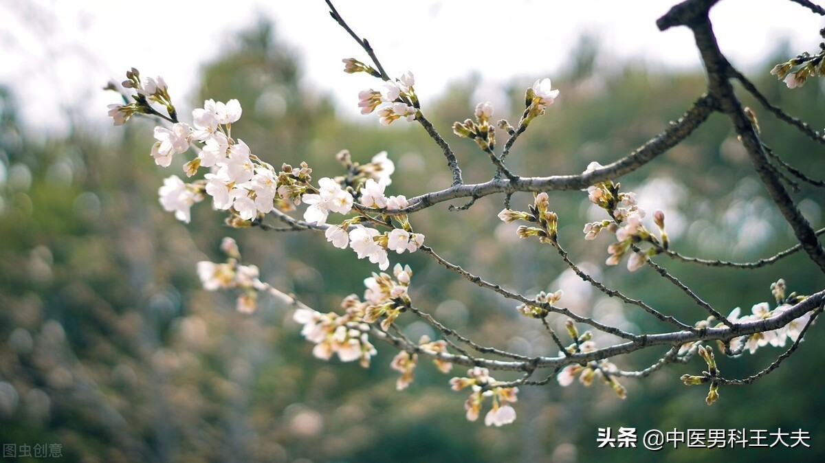 湿热下注遗精与肾虚遗精有何区别,三才封髓丹能治疗肾虚湿热下注吗