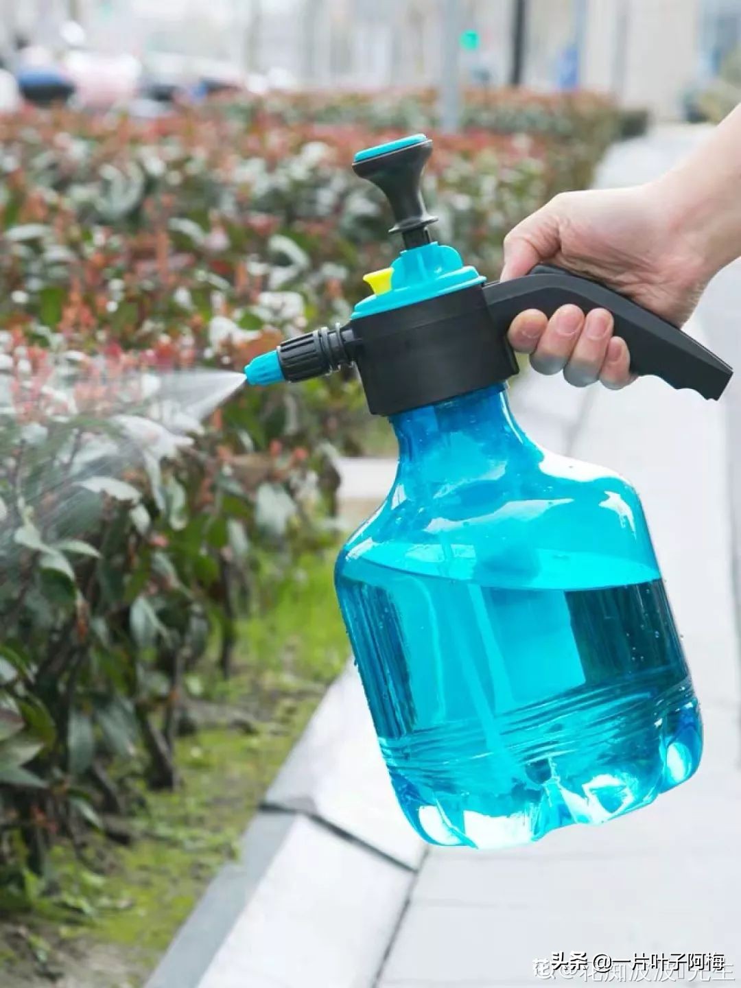 自制养花水配方除臭,养花自制10种消毒水不招虫不烂根