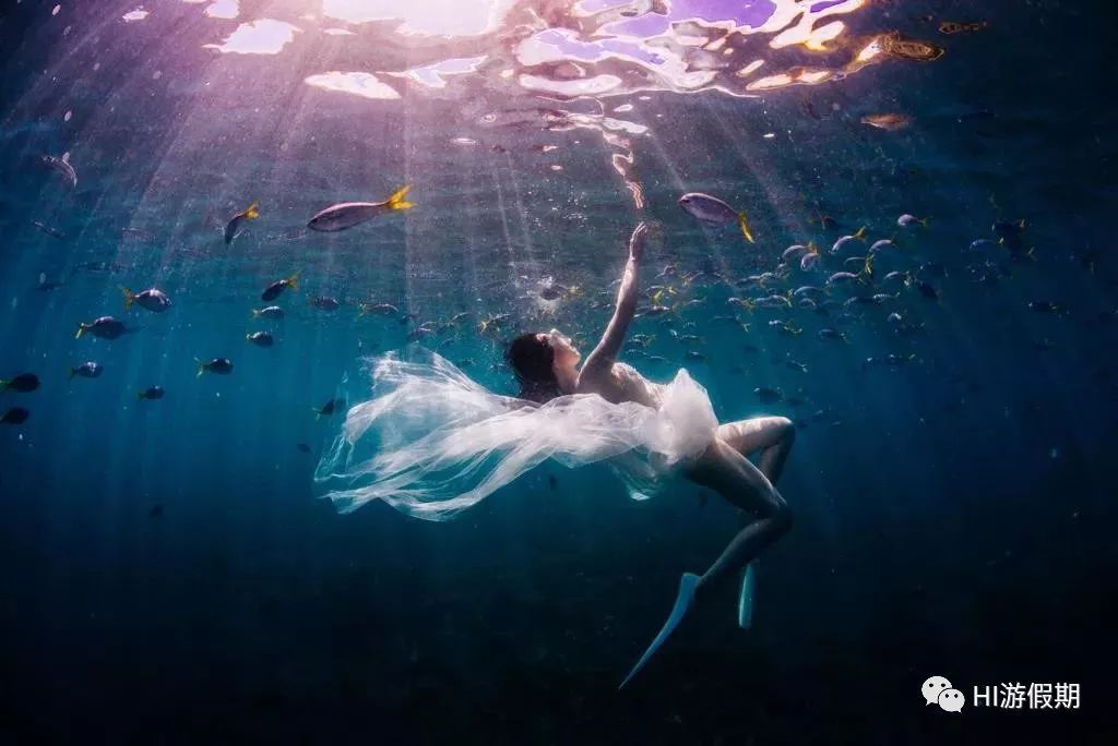 帕劳海底世界美人鱼,美人鱼和帕劳