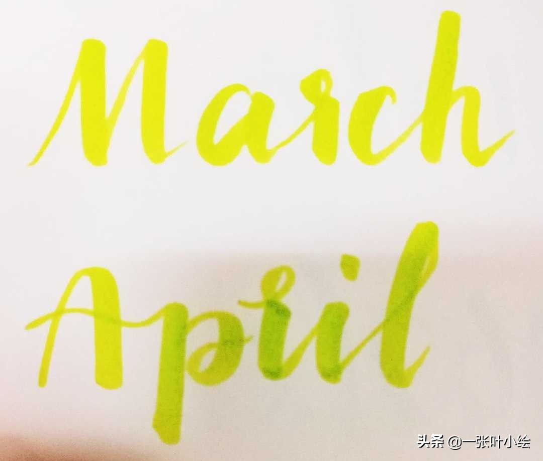 新手小白weeks手账排版,11月日历手帐教程无贴纸