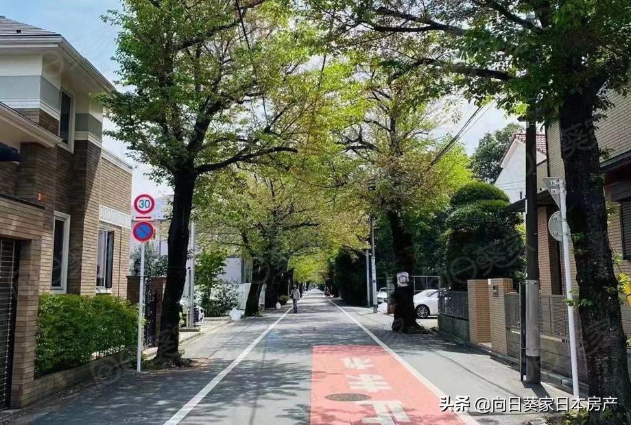 日本东京宜居排行榜,日本东京分析