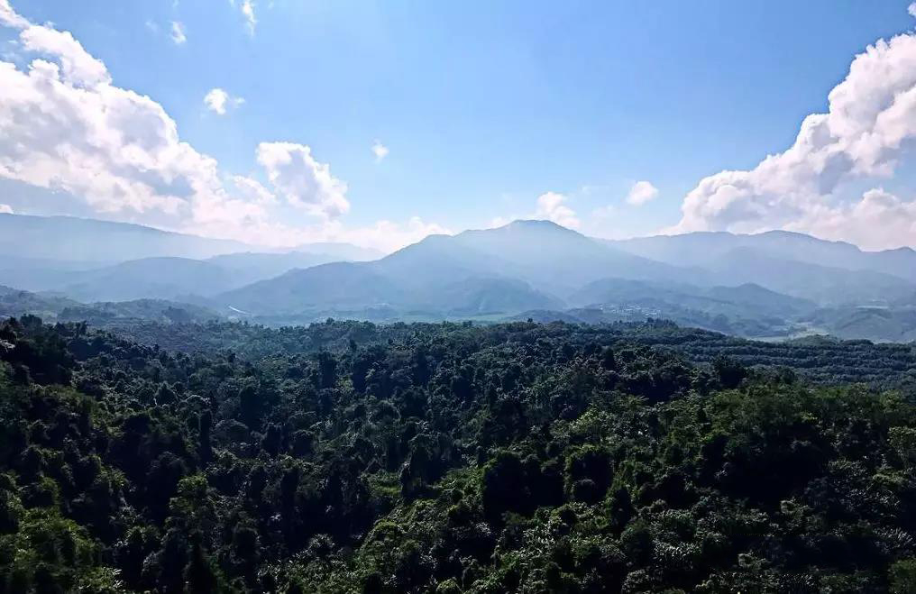 云南西双版纳公园里沙河郡好吗,公园里沙河郡升值空间