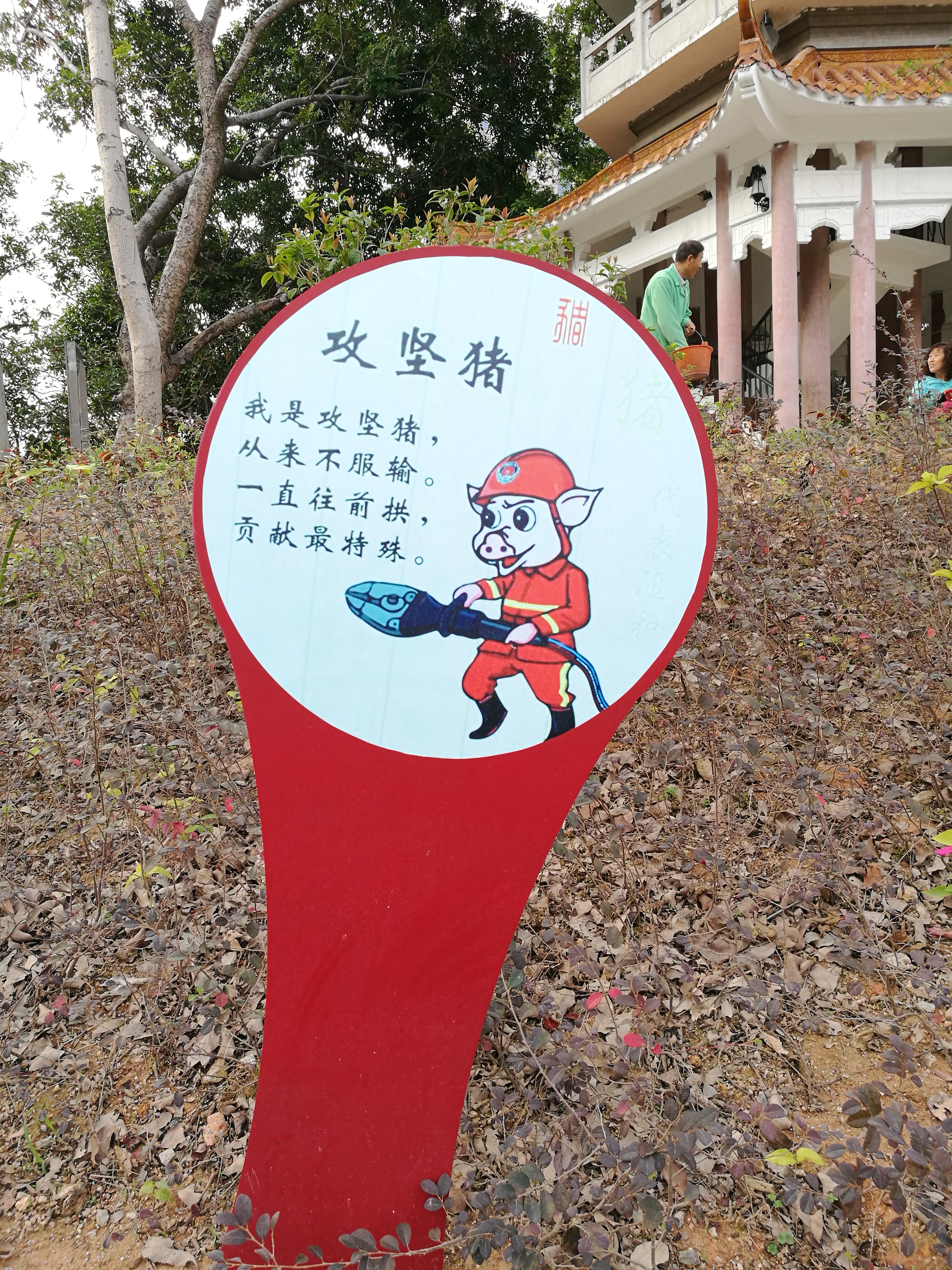 平安夜偶遇第一场雪,平安夜偶遇生日