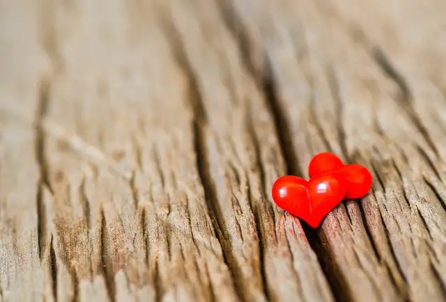 散文笔会,同学聚会散文诗句