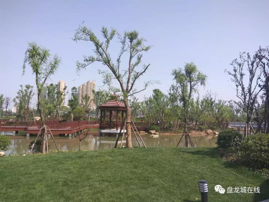 武汉盘龙城古城遗址,武汉盘龙城的起源