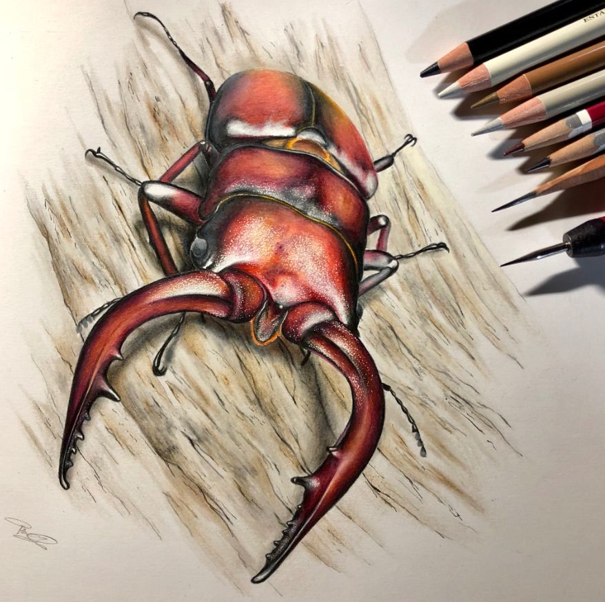 失明女孩铅笔画,手绘眼睛流泪铅笔画