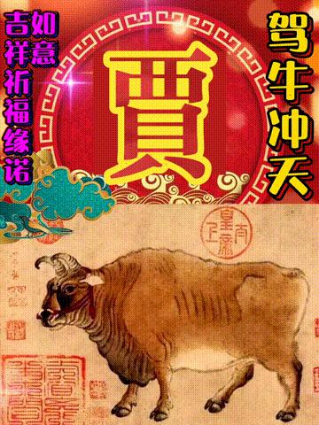 年味文化大餐！最新网络世界符号工具表情包【百家姓】专辑！