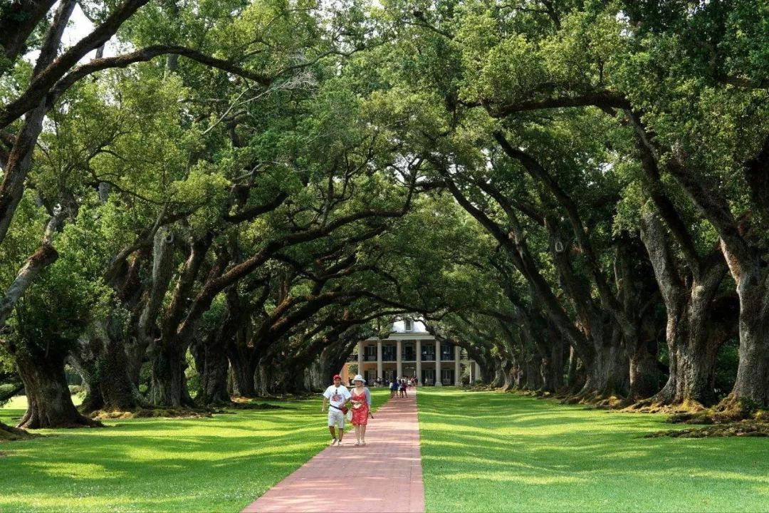 上海十里南京路,一条20路,今年它92岁了!