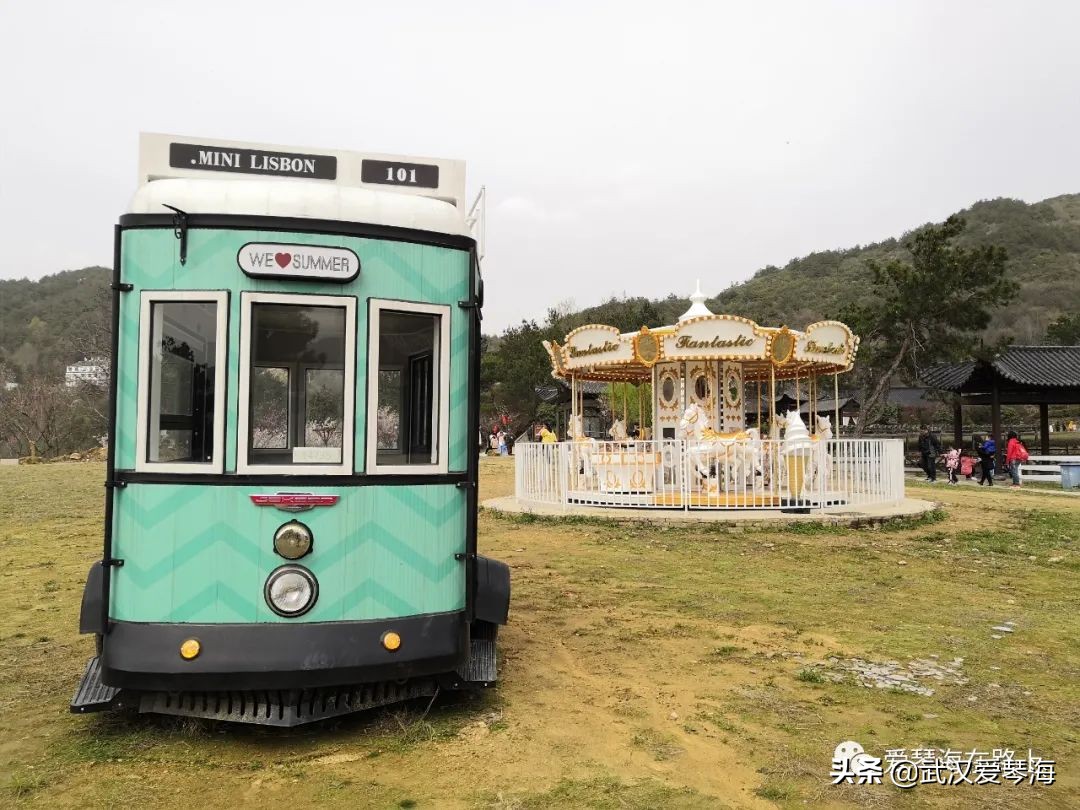 清凉寨樱花烂漫,清凉寨野景