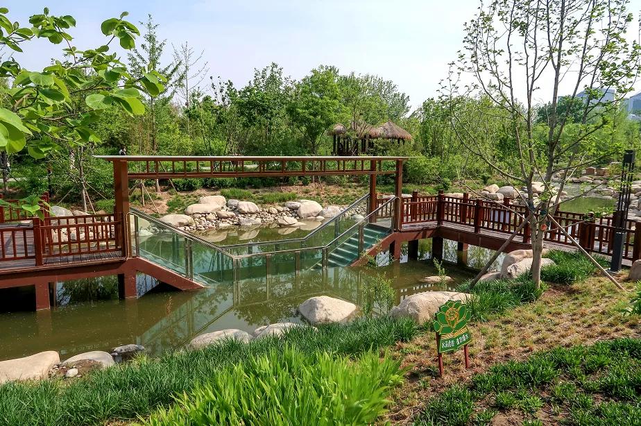 2020丰台文化和旅游消夏季活动正式启动！5条线路，游园、嬉水、赏花、亲子、夜游，全都有！