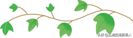 新县农村民宿推荐,河南新县网红民宿