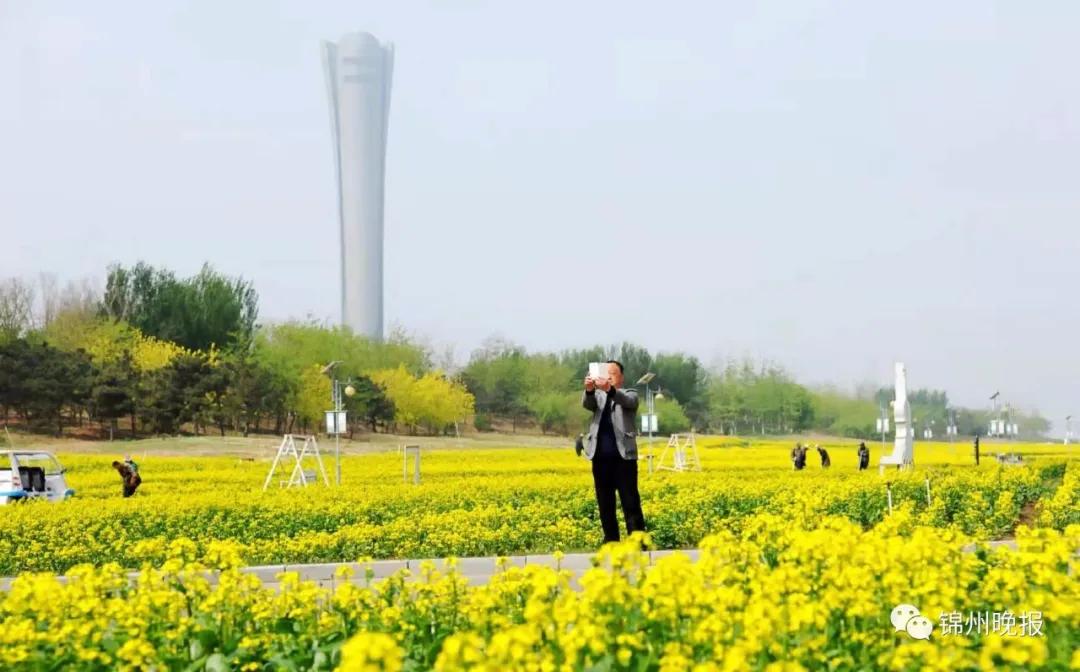 锦州露营自驾游推荐,锦州五一踏青露营