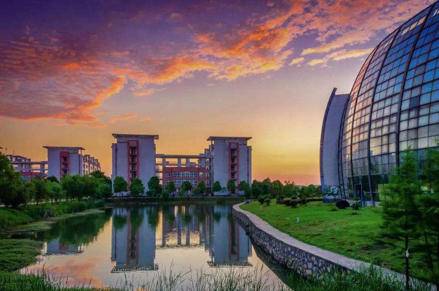 澶у鐢熸牎鍥垱涓氬崠姘存灉,涓変釜澶у鐢熷垱涓氬崠姘存灉