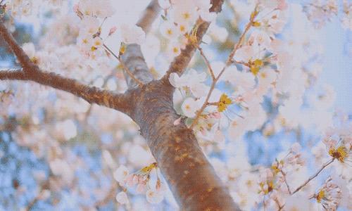 适合夏天好闻的沐浴露,夏季清爽不油腻留香沐浴露