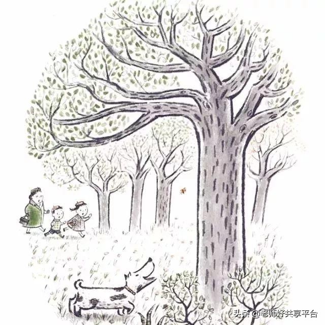 老师好睡前故事|《哈利的花毛衣》