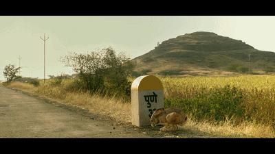 调琴师印度电影解析,印度电影调音师电影解说