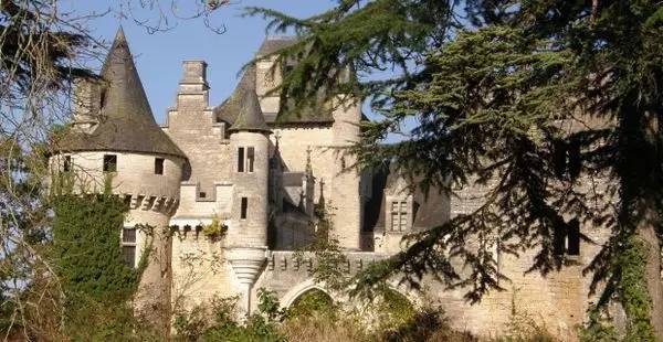 旅游禁止带什么东西,旅游景点不可带回的东西