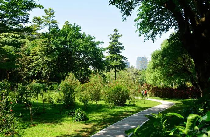 广州免费公园景点大全,广州免费公园排名
