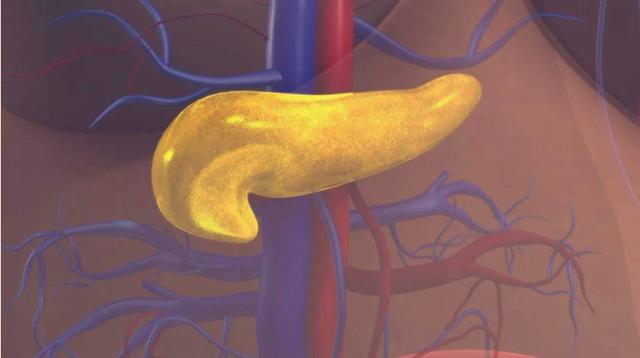 胰腺癌痛苦怎么办,胰腺癌病人心里难过