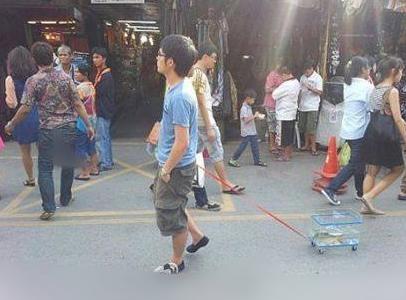 养狗的人可以遛狗，养鱼的人也可以遛鱼啊！这种骚操作你见过没？