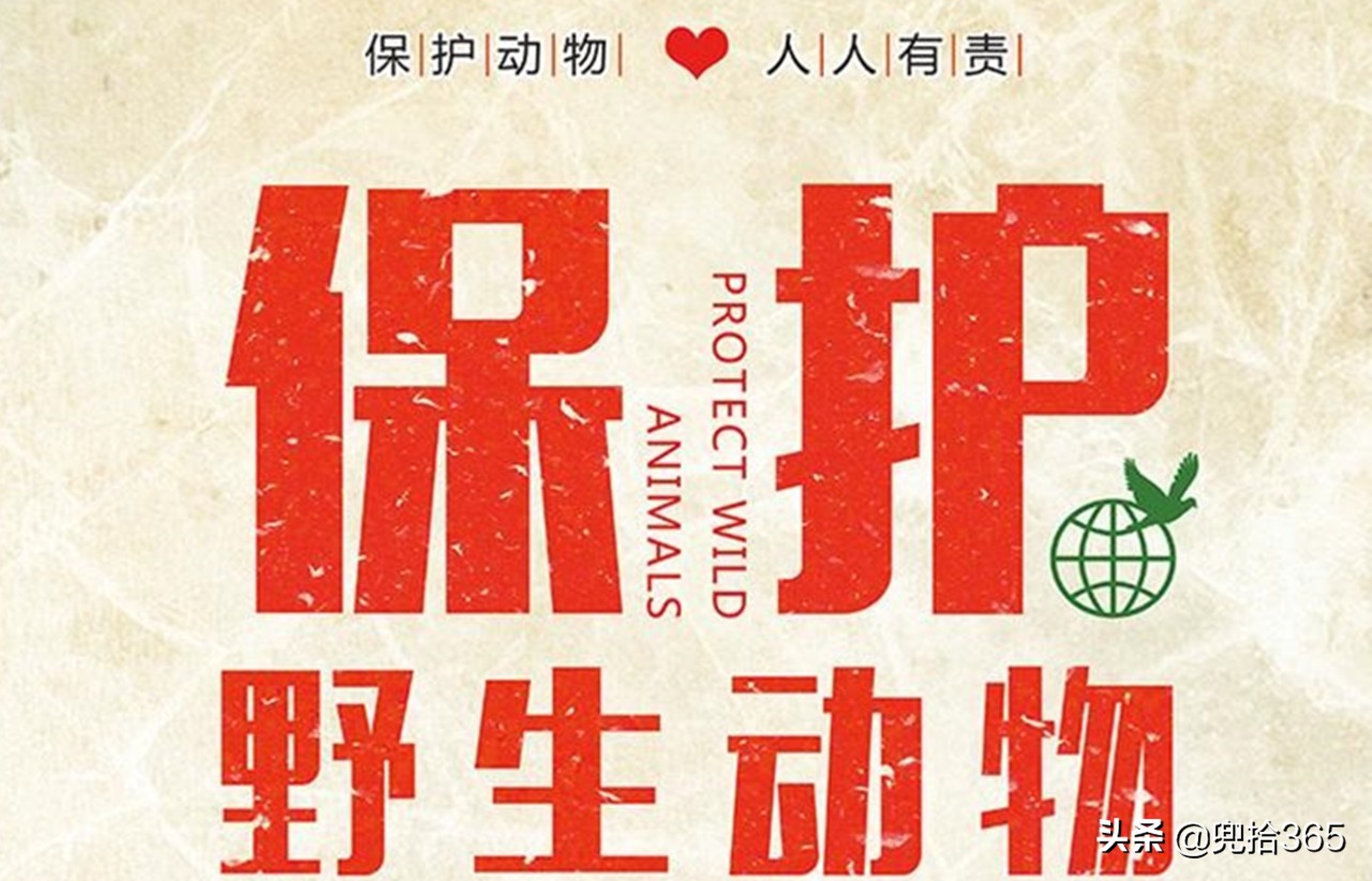 贵州男子为保护庄稼,在玉米地里设置了一个陷阱,结果摊上事了