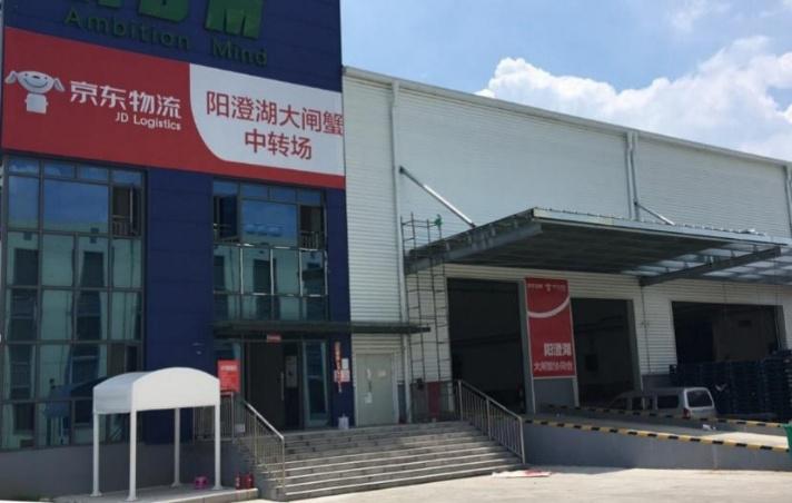 大闸蟹鲜活发货当日达,大闸蟹现货哪里买便宜