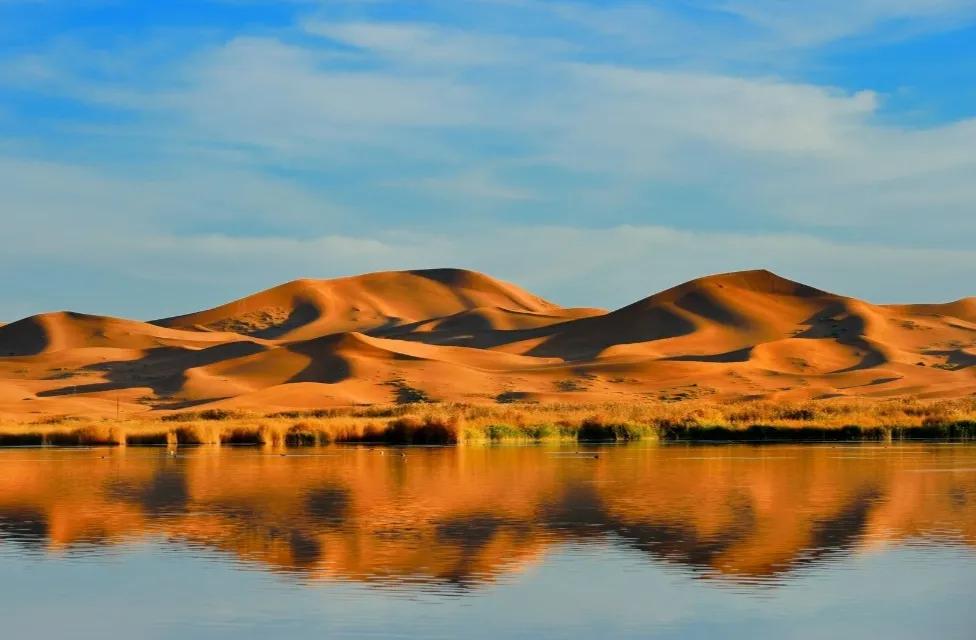 内蒙苁蓉生长在什么位置,内蒙哪产肉苁蓉