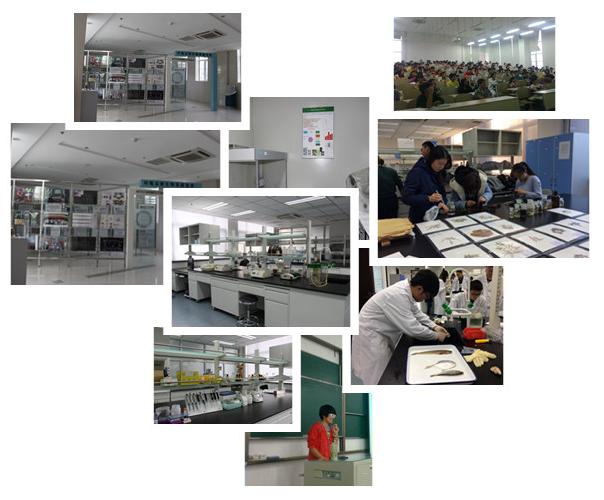 大连海事大学环境工程,大连海事大学环境学院