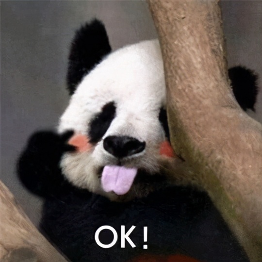 鼻子毛孔粗大怎么缩回去,挤完黑头毛孔粗大能缩回去吗